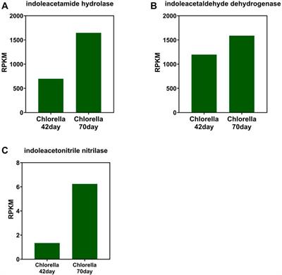 Metagenomic Approaches to Explore the Quorum Sensing-Mediated Interactions Between Algae and Bacteria in Sequence Membrane Photo-Bioreactors